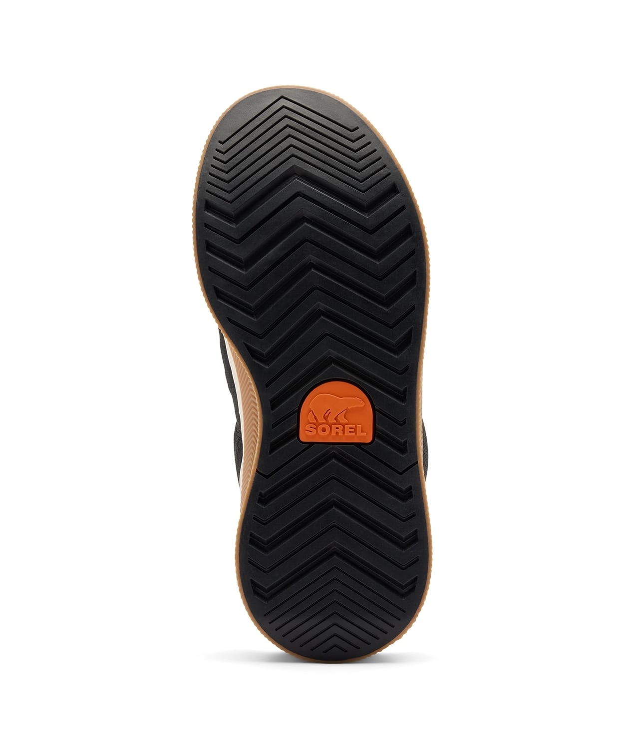 011Black Gum 2