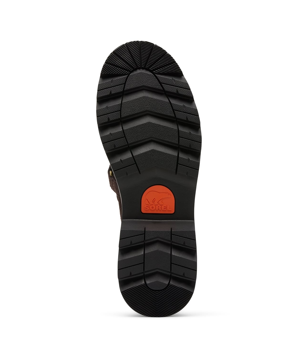 205Blackened Brown Black