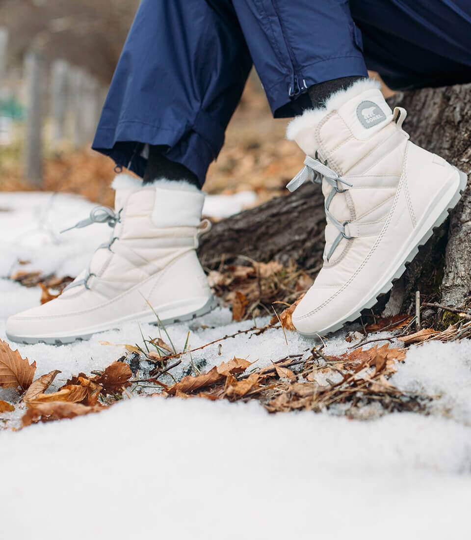 SOREL2018winter